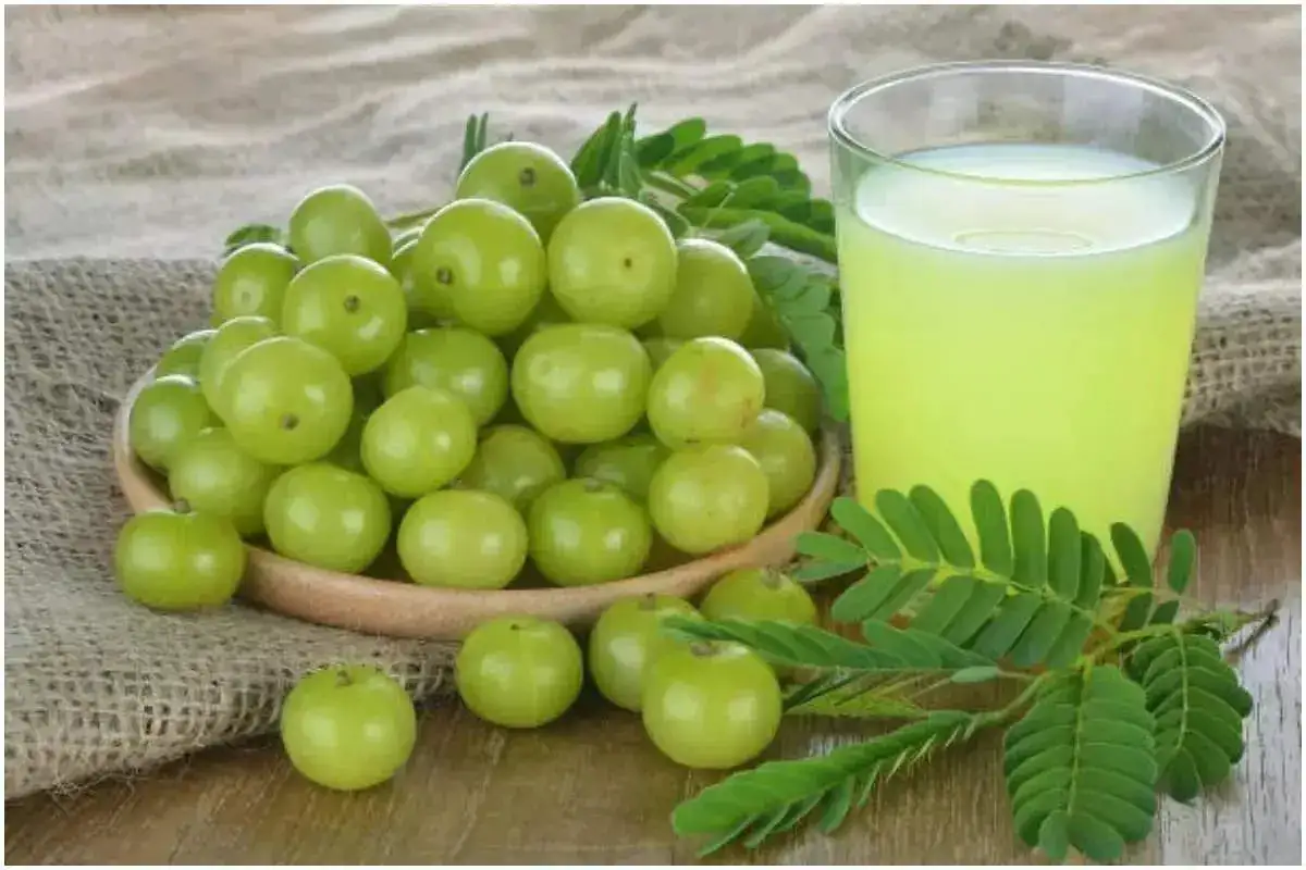 Amla (Indian Gooseberry)