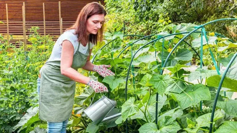 How to grow your own food and build a greener world with organic gardening